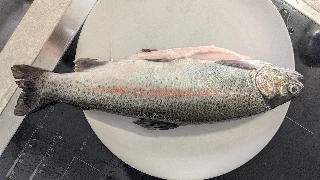 Lachsforelle, 35 cm, 11.10.26